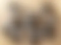 CustomSocksNow.Com