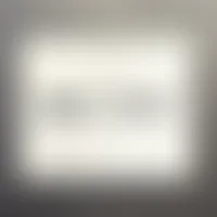 CustomSocksNow.Com