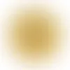 Gold - Custom Socks Now