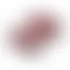 Scarlet Red