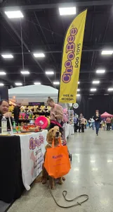 CustomSocksNow.Com - Custom Small Grocery Tote Bag