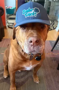 CustomSocksNow.Com - Full Color TPU