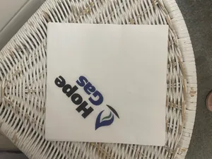 CustomSocksNow.Com - Custom Paper Luncheon Napkins