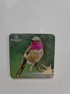 collectable magnet that our company sent to our customers