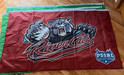 Rectangle Flag - Flag displayed on our team website and well be out on the field in February once our season