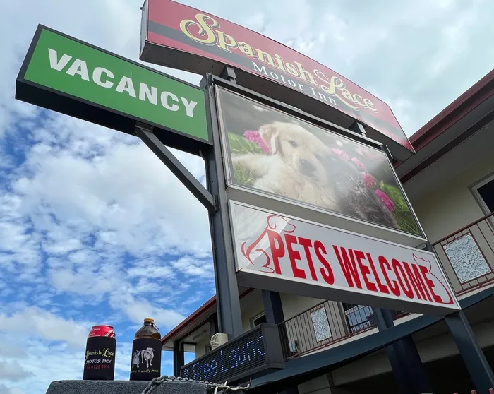 CustomSocksNow.Com - Full Color Collapsible