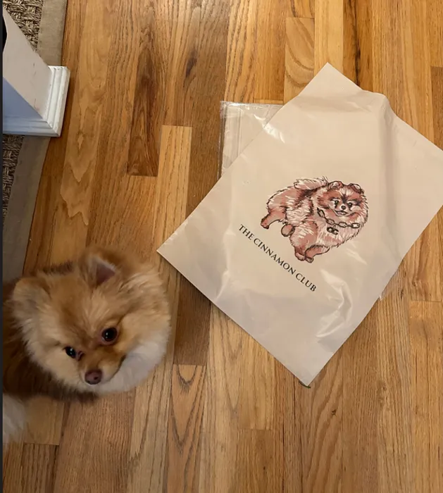 CustomSocksNow.Com - Custom Poly Mailer