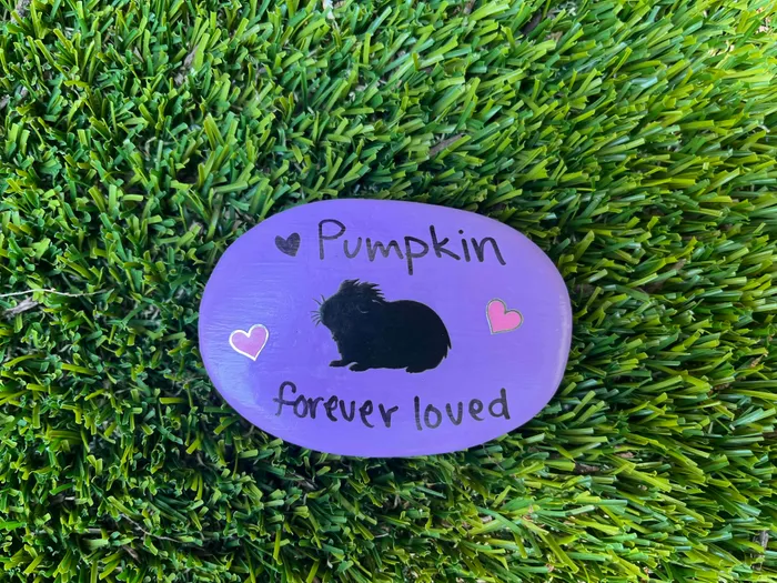 CustomSocksNow.Com - Transfer Stickers