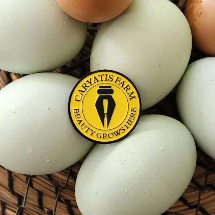 CustomSocksNow.Com - Soft Enamel Pin