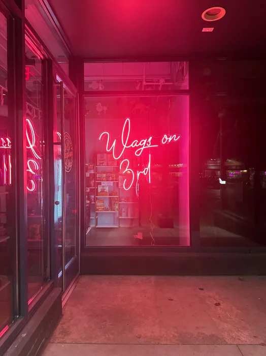 CustomSocksNow.Com - Custom Neon Sign