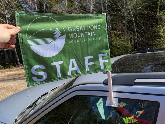 CustomSocksNow.Com - Car Flag