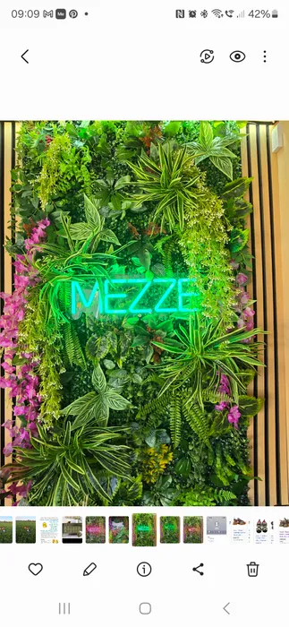 CustomSocksNow.Com - Custom Neon Sign