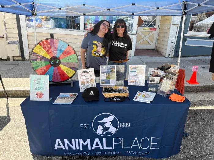 CustomSocksNow.Com - Custom Rectangle Table Covers