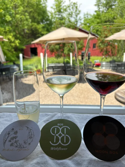 CustomSocksNow.Com - Pulpboard Coasters