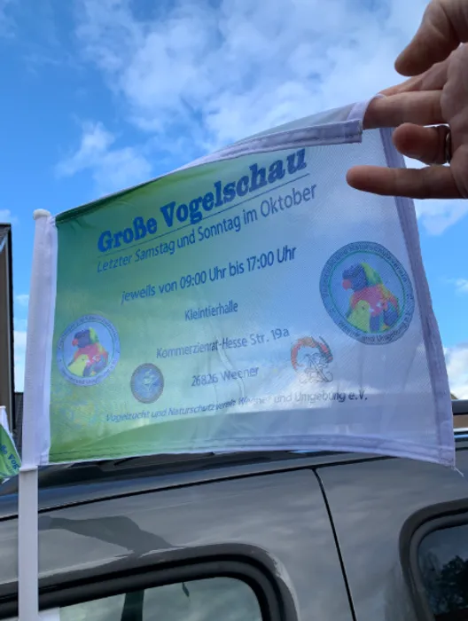 CustomSocksNow.Com - Car Flag