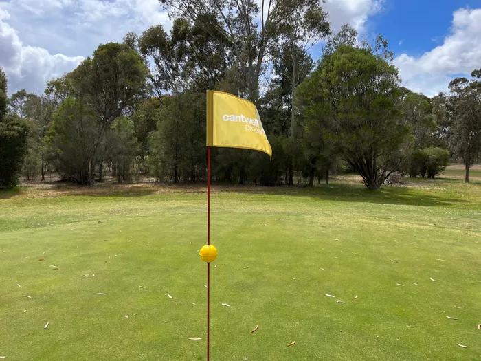 CustomSocksNow.Com - Golf Flag