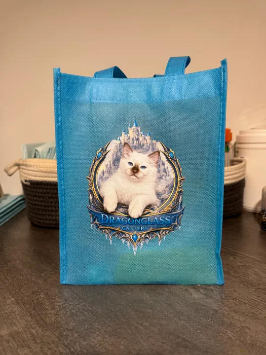 CustomSocksNow.Com - Custom Small Gift Tote Bag