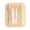 Verterra Plate/Utensil Dinnerware Set 