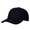 Richardson 254RE Ashland Sustainable Dad Hat 