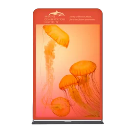 EZ Extend Displays - Custom Socks Now