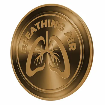 Challenge Coins - Custom Socks Now