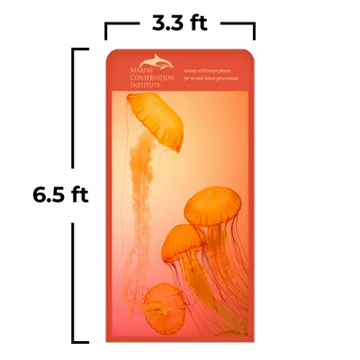 3.3 x 6.5 ft - Custom Socks Now