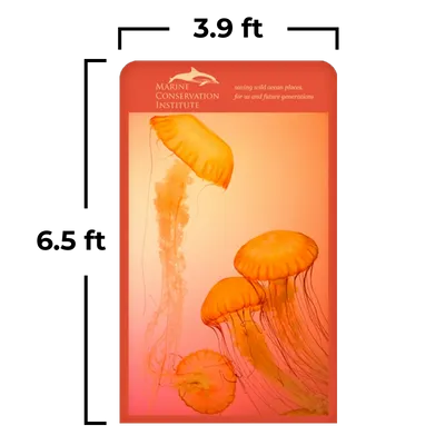 3.9 x 6.5 ft - Custom Socks Now