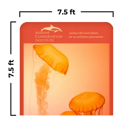 7.5 x 7.5 ft - Custom Socks Now