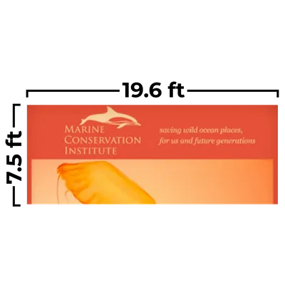 19.6 x 7.5ft - Custom Socks Now