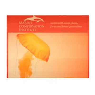 None - Custom Socks Now