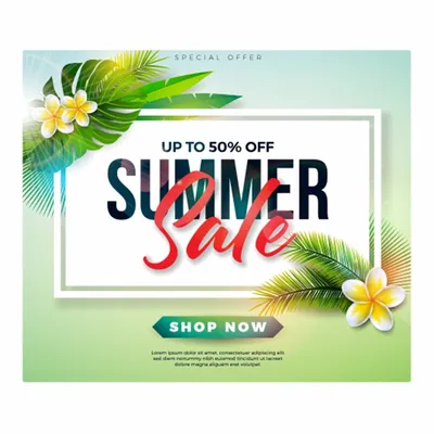 None - Custom Socks Now