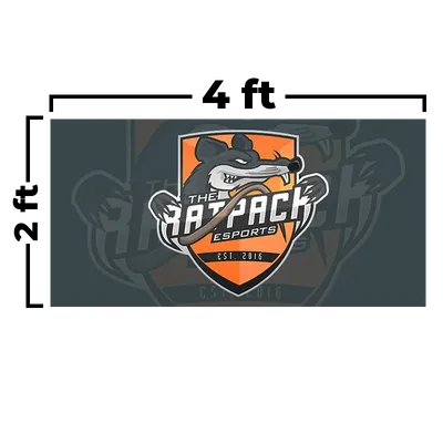 4 x 2 ft - Custom Socks Now