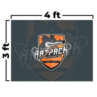 4 x 3 ft - Custom Socks Now