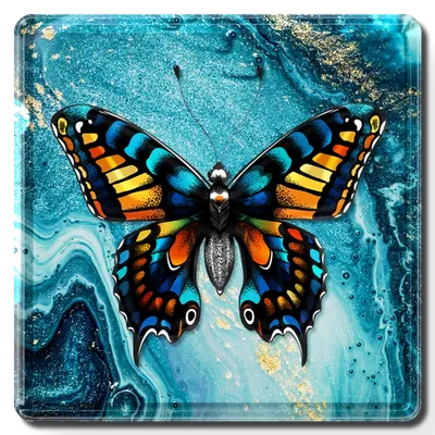 Square - Custom Socks Now