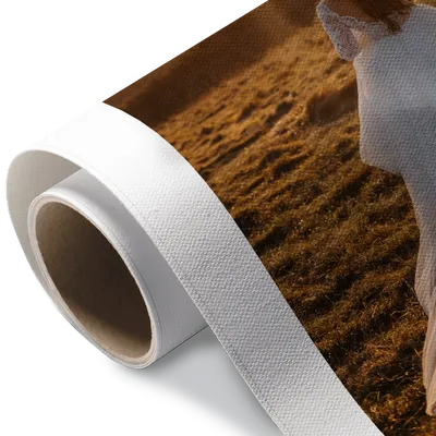 Rolled Canvas Rolled Canvas - Custom Socks Now