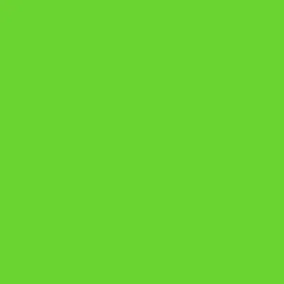 Green - Custom Socks Now