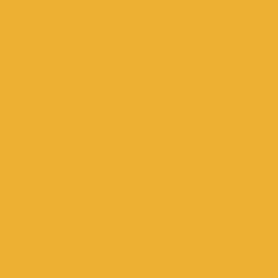 Orange - Custom Socks Now