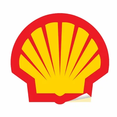 Die Cut - Custom Socks Now