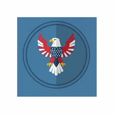 Standard - Custom Socks Now