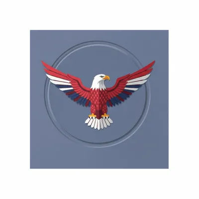 Standard - Custom Socks Now