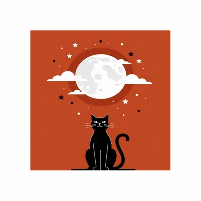 Standard - Custom Socks Now