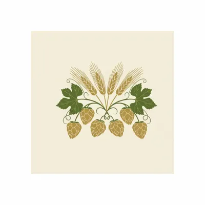 Standard - Custom Socks Now