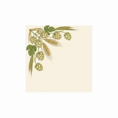 6.5 in x 6.5 in - Custom Socks Now