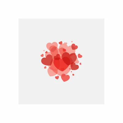 Standard - Custom Socks Now