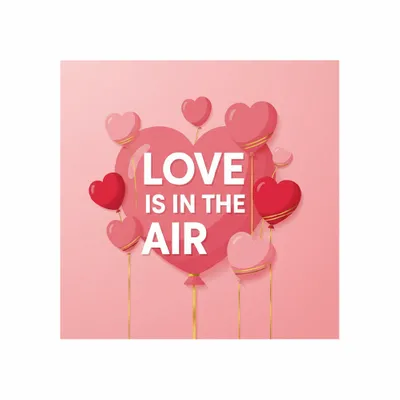 Standard - Custom Socks Now