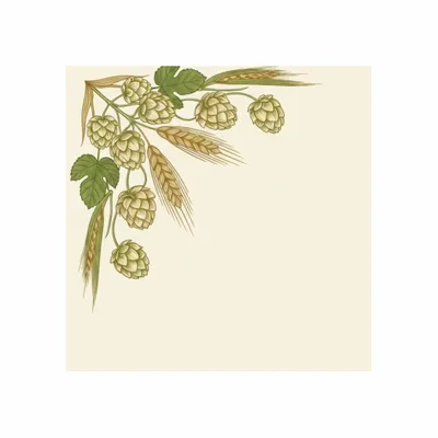 Standard - Custom Socks Now