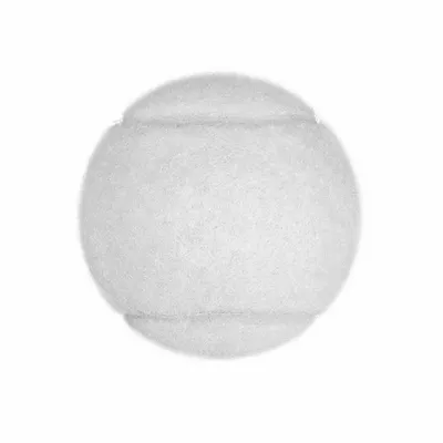 White - Custom Socks Now