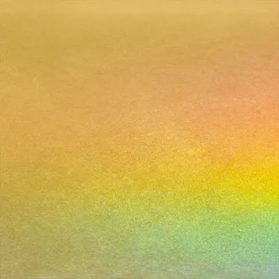 Metallic 09 - Custom Socks Now