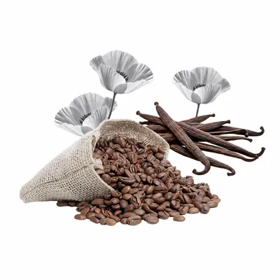 Black Opium - Custom Socks Now