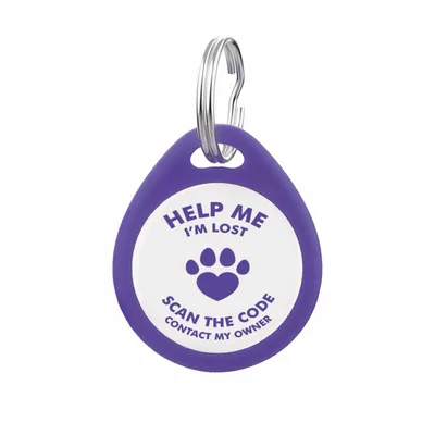 Blue - Custom Socks Now